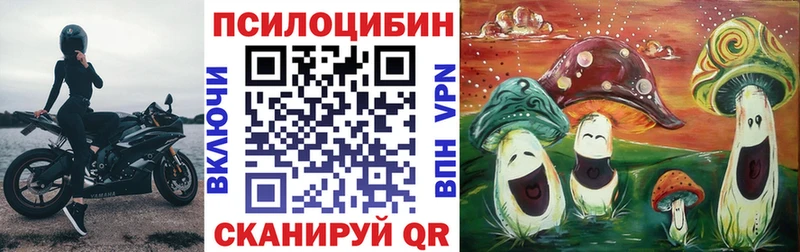 Галлюциногенные грибы ЛСД  ОМГ ОМГ маркетплейс  Иркутск 